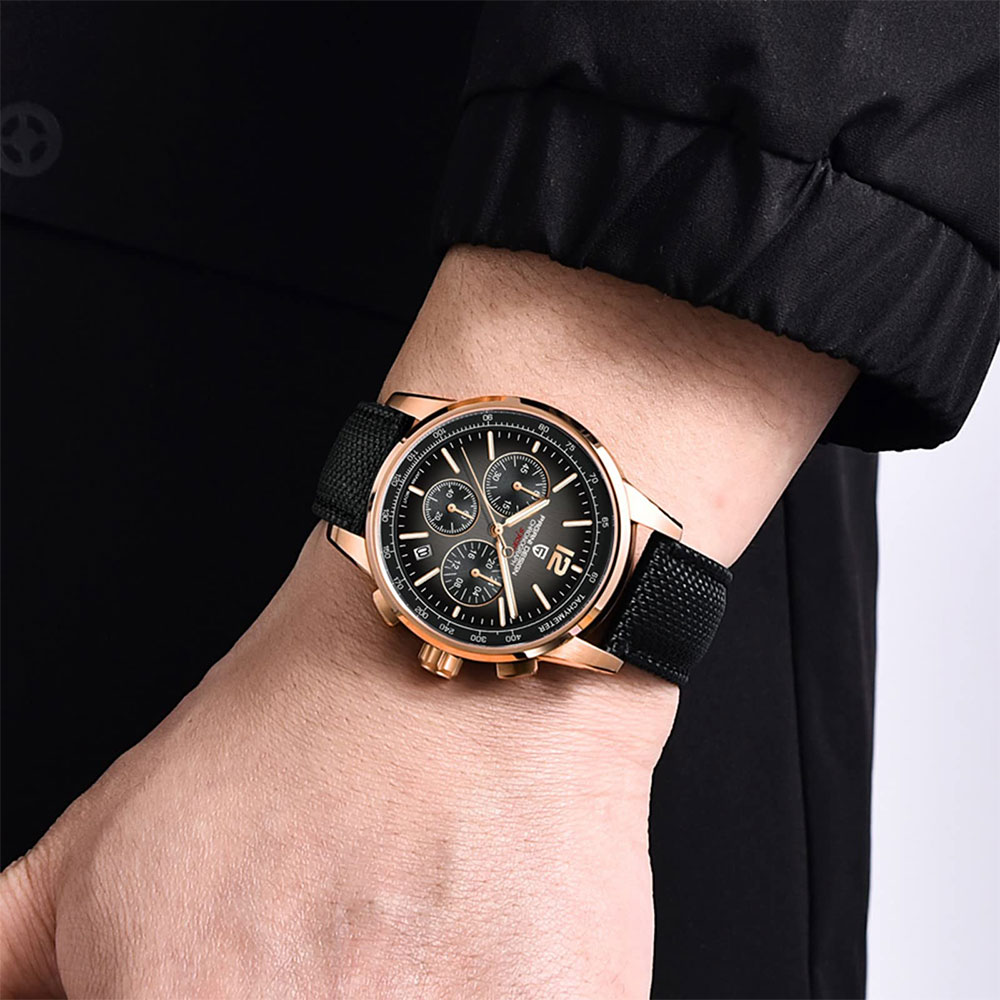 PAGANI DESIGN New Mens Watch 4 - Luxury Watch Men 评论和价格